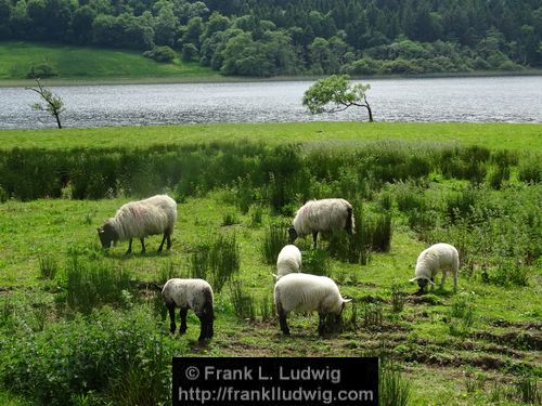 Glencar Lake